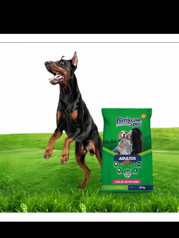 Alimento para perros Adultos Beriscan